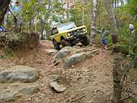 tellico1005-38.jpg